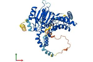 AlphaFold protein structure predicition of Human Recombinant ABHD16B Protein, UniprotID Q9H3Z7