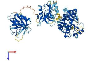 ITK Protein (AA 1-620) (His tag)