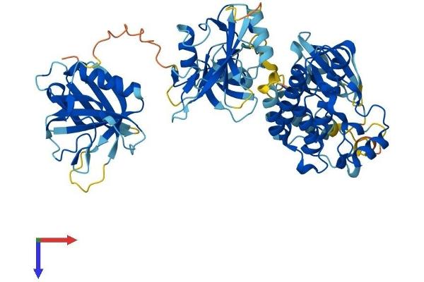 ITK Protein (AA 1-620) (His tag)