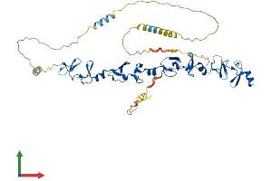 Protein Structure (PS) image for Transforming Growth Factor beta 1 Induced Transcript 1 (TGFB1I1) (AA 1-461) protein (His tag) (ABIN7563954)