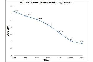 Antigen: 0. (Maltose Binding Protein antibody  (AA 43-57))