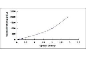 S100A10 ELISA Kit