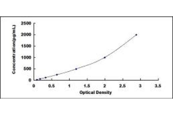 S100A10 ELISA Kit