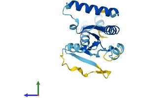 AlphaFold protein structure predicition of Human Recombinant IRGM Protein, UniprotID A1A4Y4