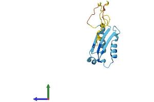 AlphaFold protein structure predicition of Mouse Recombinant Bola1 Protein, UniprotID Q9D8S9 (BOLA1 Protein (AA 1-137) (His tag))