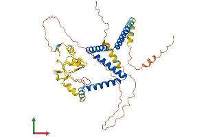 AlphaFold protein structure predicition of Human Recombinant ZNF821 Protein, UniprotID O75541