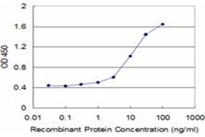 Detection limit for recombinant GST tagged CACNA1F is approximately 0. (CACNA1F antibody  (AA 1878-1977))