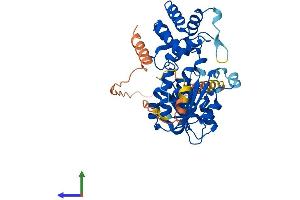 Protein Structure (PS) image for Methyltransferase 5 Domain Containing 1 (METT5D1) (AA 1-407) protein (His tag) (ABIN7549307)