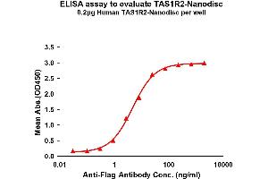 ELISA image for Taste Receptor, Type 1, Member 2 (TAS1R2) protein (ABIN7538544)