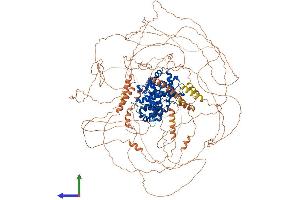 AlphaFold protein structure predicition of Mouse Recombinant Ccnb3 Protein, UniprotID Q810T2 (Cyclin B3 Protein (CCNB3) (AA 1-1396) (His tag))