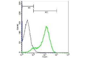 Mouse splenocytes probed with Rabbit Anti-ST2 Polyclonal Antibody, PE-Cy5. (IL1RL1 antibody  (AA 11-110))