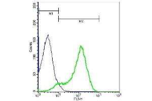 Mouse splenocytes probed with Rabbit Anti-ST2 Polyclonal Antibody, PE-Cy5. (IL1RL1 antibody  (AA 11-110))