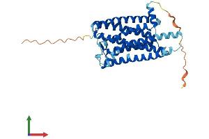 AlphaFold protein structure predicition of Mouse Recombinant Rrh Protein, UniprotID O35214 (Peropsin Protein (RRH) (AA 1-337) (His tag))