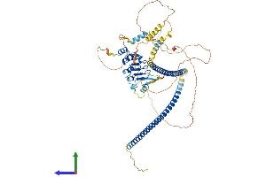 Protein Structure (PS) image for Centrosomal Protein 72kDa (CEP72) (AA 1-646) protein (His tag) (ABIN7564981)