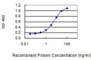 Detection limit for recombinant GST tagged FAM35A is 0. (FAM35A antibody  (AA 1-835))