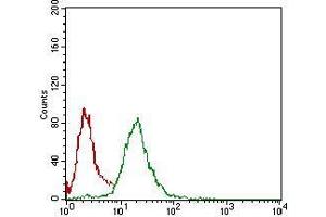 Flow cytometric analysis of Hela cells using NBN mouse mAb (green) and negative control (red). (Nibrin antibody  (AA 467-615))