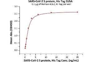 Immobilized Human ACE2, Fc Tag (ABIN6952459,ABIN6952465) at 1 μg/mL (100 μL/well) can bind SARS-CoV-2 S protein, His Tag (ABIN6973219) with a linear range of 0.