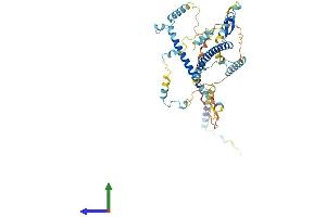 AlphaFold protein structure predicition of Human Recombinant CCDC174 Protein, UniprotID Q6PII3 (CCDC174 Protein (AA 1-467) (His tag))