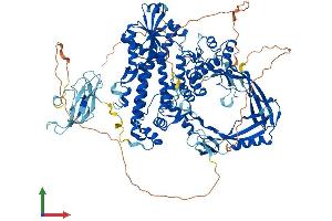 AlphaFold protein structure predicition of Human Recombinant TOP3A Protein, UniprotID Q13472 (TOP3A Protein (AA 1-1001) (His tag))