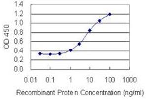 Detection limit for recombinant GST tagged BNIP2 is 0. (BNIP2 antibody  (AA 1-314))
