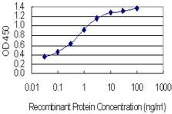ASH1L antibody  (AA 2859-2967)