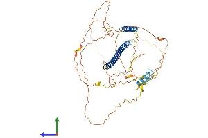 Protein Structure (PS) image for TRAF Family Member-Associated NFKB Activator (TANK) (AA 1-448) protein (His tag) (ABIN7556703)