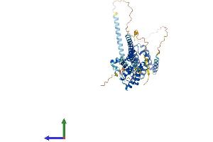 Protein Structure (PS) image for RAB Guanine Nucleotide Exchange Factor (GEF) 1 (RABGEF1) (AA 1-491) protein (His tag) (ABIN7561689)