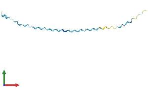 AlphaFold protein structure predicition of Mouse Recombinant Sprr2d Protein, UniprotID O70555