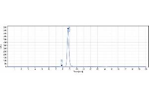 anti-Chemokine (C-C Motif) Ligand 5 (CCL5) antibody