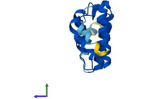 AlphaFold protein structure predicition of Human Recombinant STAG3L2 Protein, UniprotID P0CL84