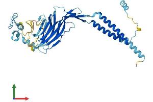 AlphaFold protein structure predicition of Mouse Recombinant Ergic3 Protein, UniprotID Q9CQE7