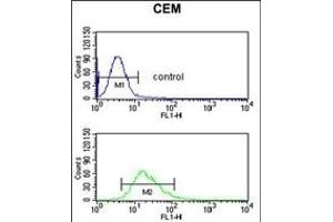 DMC1 Antibody (N-term) (ABIN653277 and ABIN2842793) flow cytometric analysis of CEM cells (bottom histogram) compared to a negative control cell (top histogram). (DMC1 antibody  (N-Term))