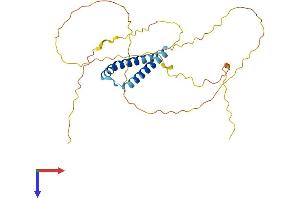 AlphaFold protein structure predicition of Human Recombinant FRG2B Protein, UniprotID Q96QU4 (FRG2B Protein (AA 1-278) (His tag))