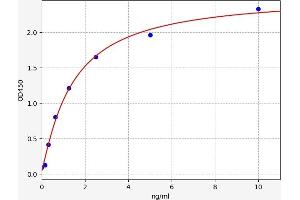 Typical standard curve (KDM3A ELISA Kit)