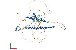 AlphaFold protein structure predicition of Human Recombinant CBFA2T3 Protein, UniprotID O75081