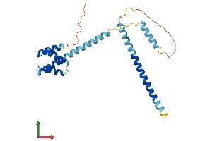AlphaFold protein structure predicition of Mouse Recombinant Ccdc43 Protein, UniprotID Q9CR29 (CCDC43 Protein (AA 1-222) (His tag))