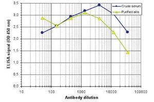 ELISA results of Rabbit anti-MeCP2 antibody ELISA results of Rabbit anti-MeCP2 antibody. (MECP2 antibody  (C-Term))