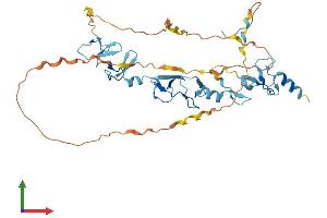 AlphaFold protein structure predicition of Human Recombinant FBLIM1 Protein, UniprotID Q8WUP2 (FBLIM1 Protein (AA 1-373) (His tag))