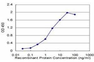Detection limit for recombinant GST tagged RAB27A is approximately 0. (RAB27A antibody  (AA 122-221))