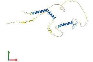 AlphaFold protein structure predicition of Mouse Recombinant Rfxap Protein, UniprotID Q8VCG9 (RFXAP Protein (AA 1-231) (His tag))