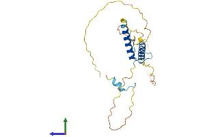 Protein Structure (PS) image for Heart and Neural Crest Derivatives Expressed 1 (HAND1) (AA 1-216) protein (His tag) (ABIN7557819)