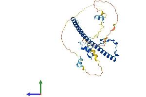 Protein Structure (PS) image for Thyrotrophic Embryonic Factor (TEF) (AA 1-301) protein (His tag) (ABIN7561672)