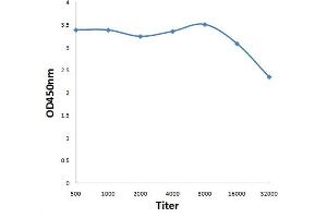 Antigen: 0. (ARFIP1 antibody  (AA 255-373))
