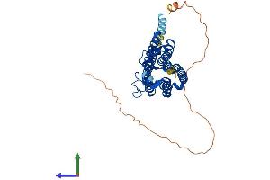 Protein Structure (PS) image for Adiponectin Receptor 2 (ADIPOR2) (AA 1-386) protein (His tag) (ABIN7564411)