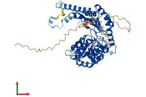 AlphaFold protein structure predicition of Human Recombinant SPTLC2 Protein, UniprotID O15270 (SPTLC2 Protein (AA 1-562) (His tag))