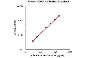 VEGF Receptor 2 (VEGFR2) ELISA Kit