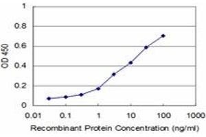 Detection limit for recombinant GST tagged UBTF is approximately 1ng/ml as a capture antibody. (UBTF antibody  (AA 551-650))