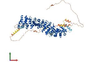 Protein Structure (PS) image for Junction Plakoglobin (JUP) (AA 1-745) protein (His tag) (ABIN7563581)