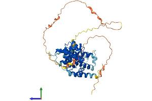 Protein Structure (PS) image for Cyclin I (CCNI) (AA 1-377) protein (His tag) (ABIN7556448)
