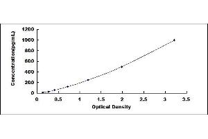 Typical standard curve (IL23A ELISA Kit)